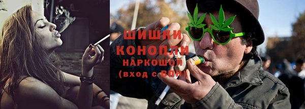 мдпв Верея