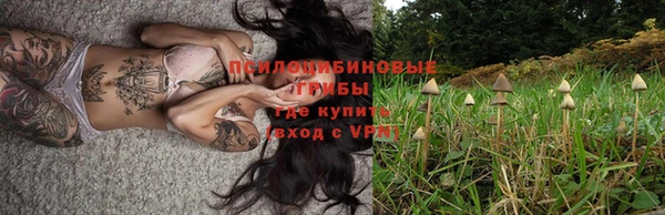 сатива Верхнеуральск