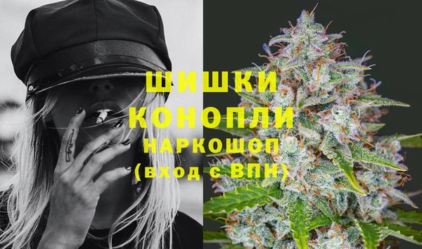 мдпв Верея