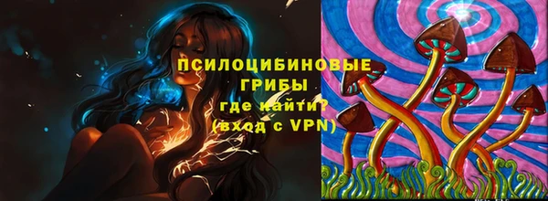 стаф Володарск