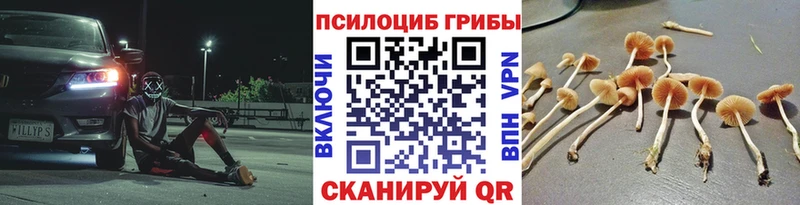 Псилоцибиновые грибы GOLDEN TEACHER  Купить где  Кирово-Чепецк 